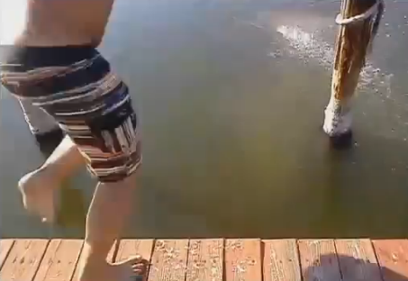 Video, Djur, sjökor, Florida, Trakasserier